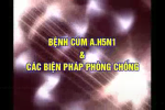 Bệnh cúm A.H5N1 & các biện pháp phòng chống
