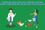 Khuyến cáo phòng lây nhiễm Cúm gia cầm (A/H5) trên người