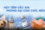 Thông điệp phòng chống bệnh dại