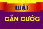 Luật Căn cước